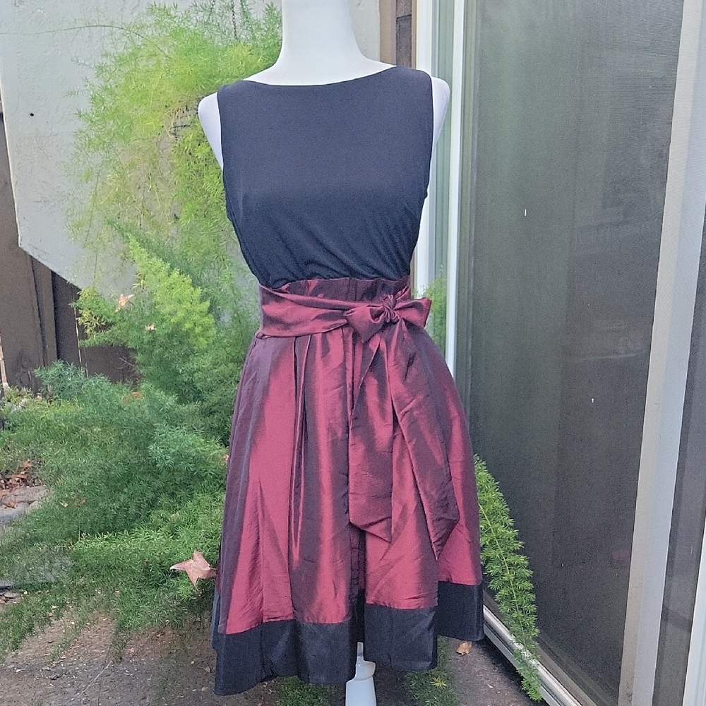 S.L.Fashions Women's Dress